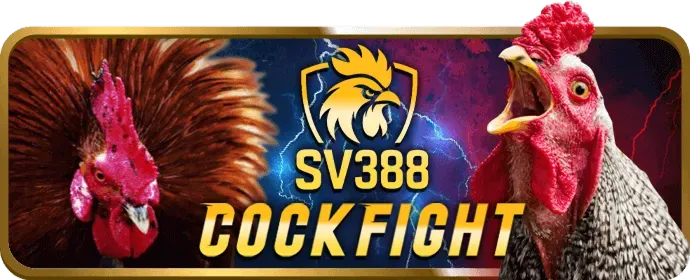 Hướng dẫn cá cược Esport